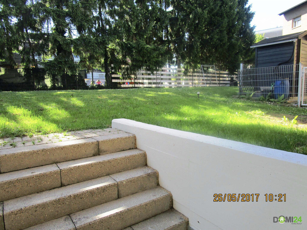 Gartenant._IMG_0023
