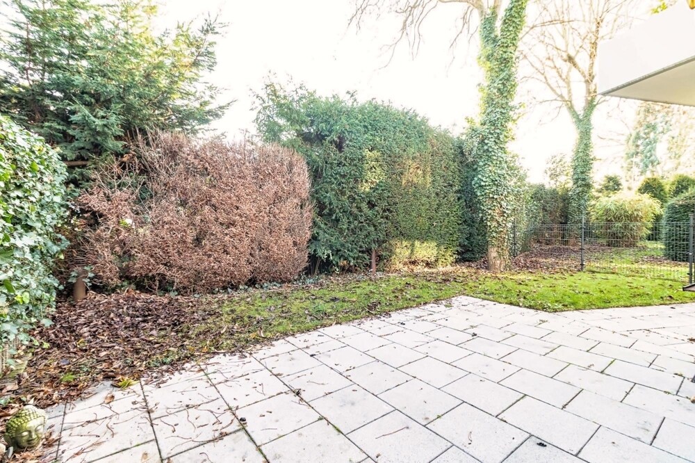 Blick in Garten