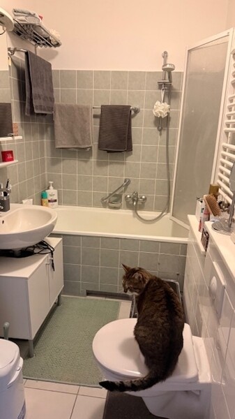 Wannenbad/WC
