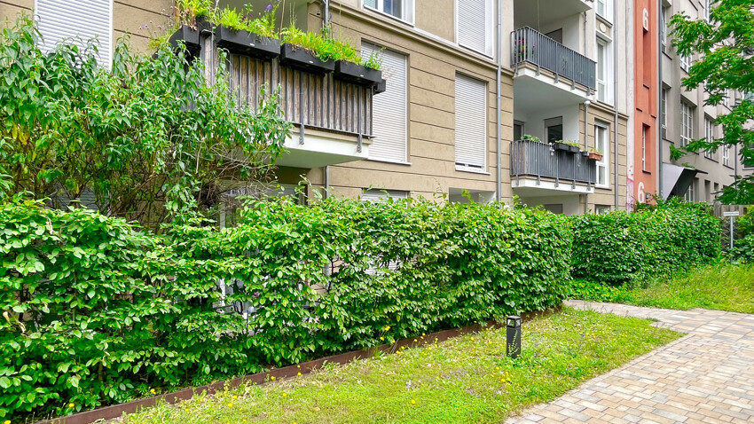 Garten (2025)