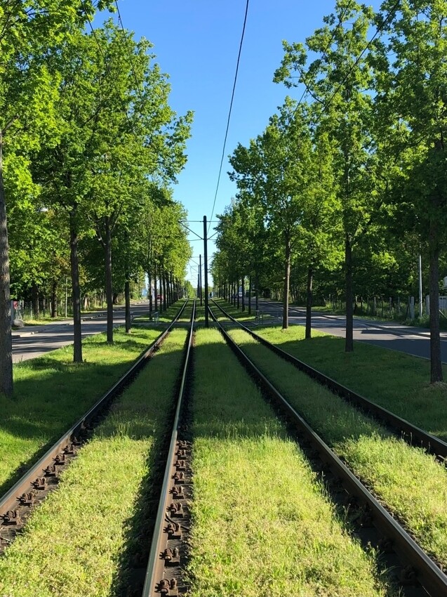 Trambahn zu Uni und zum Bahnhof