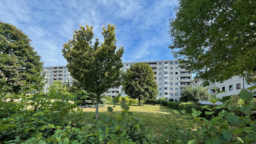 hinter dem Haus 1
