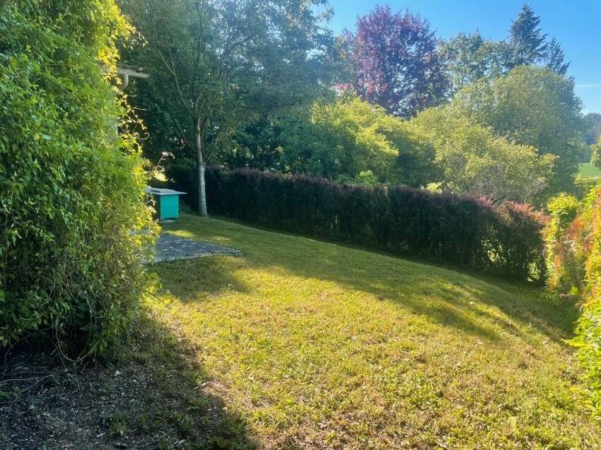 Immobilienbild