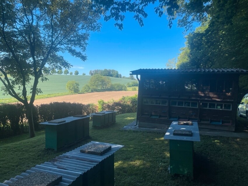 Immobilienbild