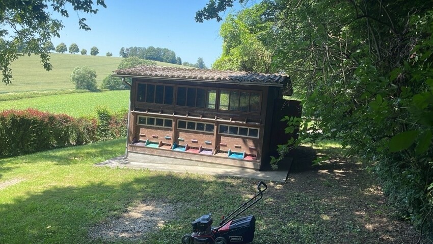 Immobilienbild