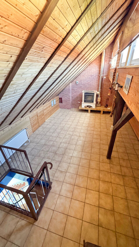 DG Studio