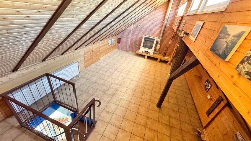 DG Studio
