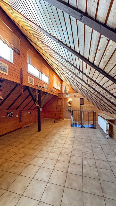 DG Studio