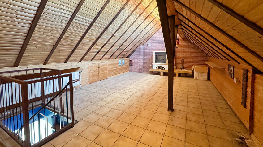 DG Studio