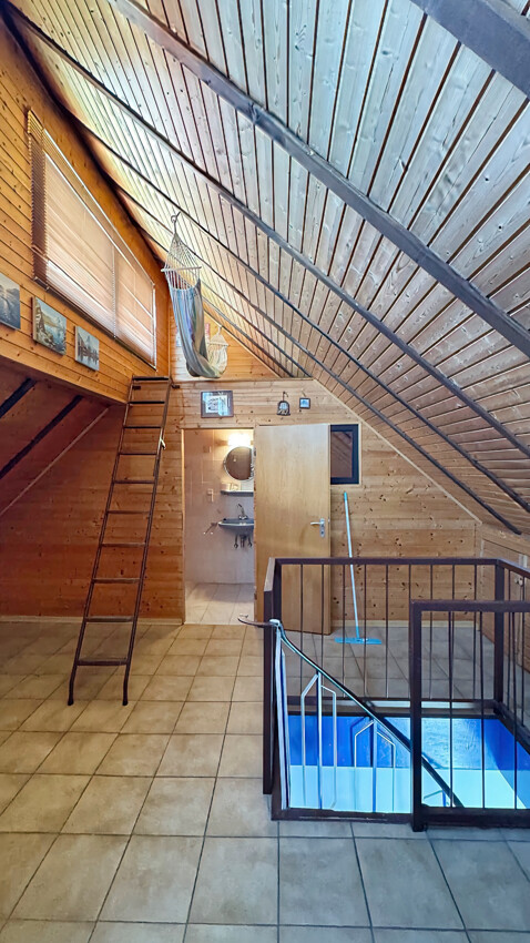 DG Studio
