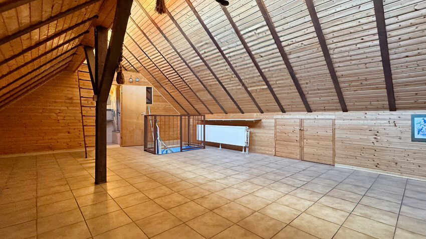 DG Studio