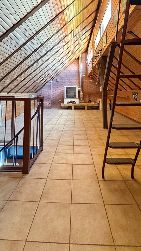 DG Studio