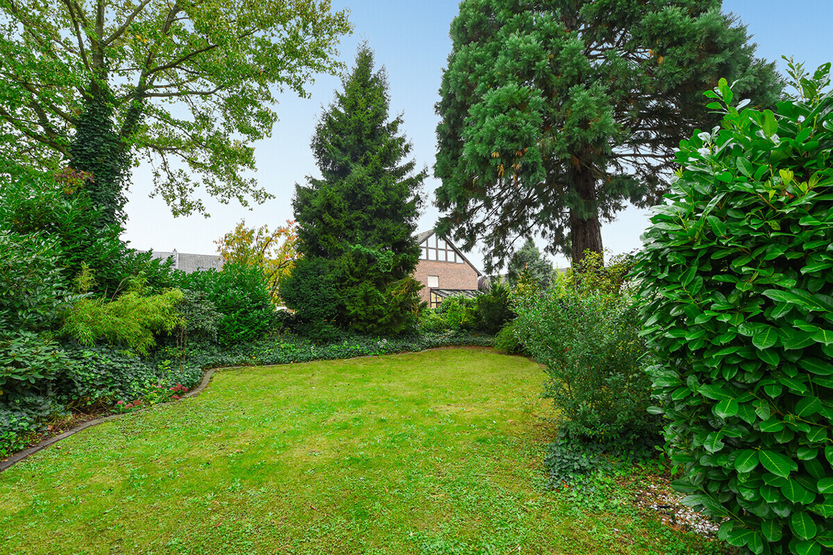 Blick in den Garten