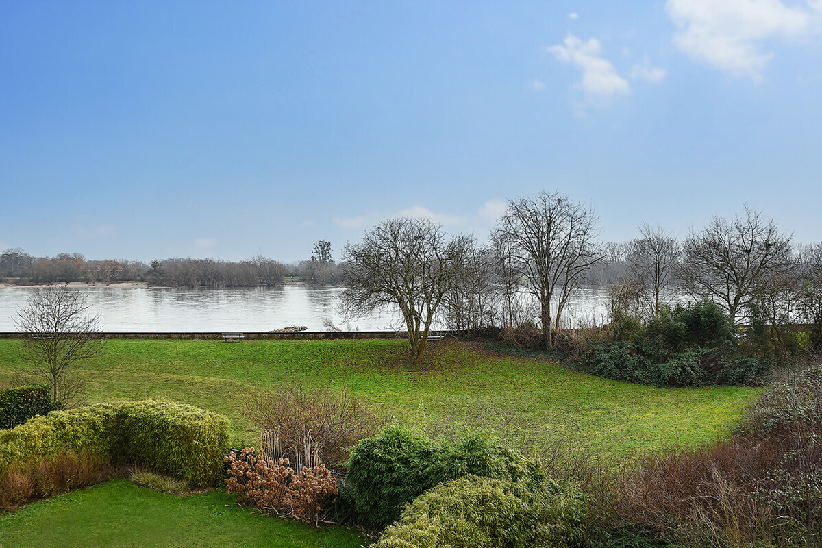 Ausblick zum Rhein