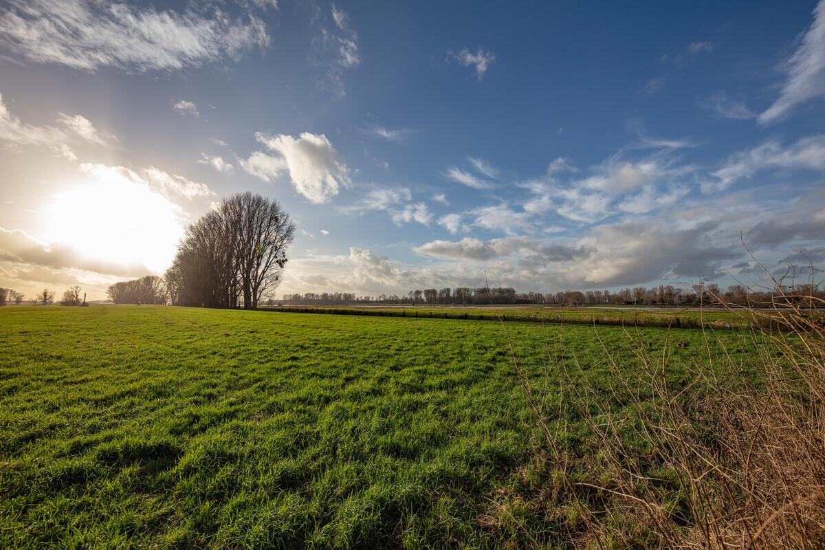 Impressionen