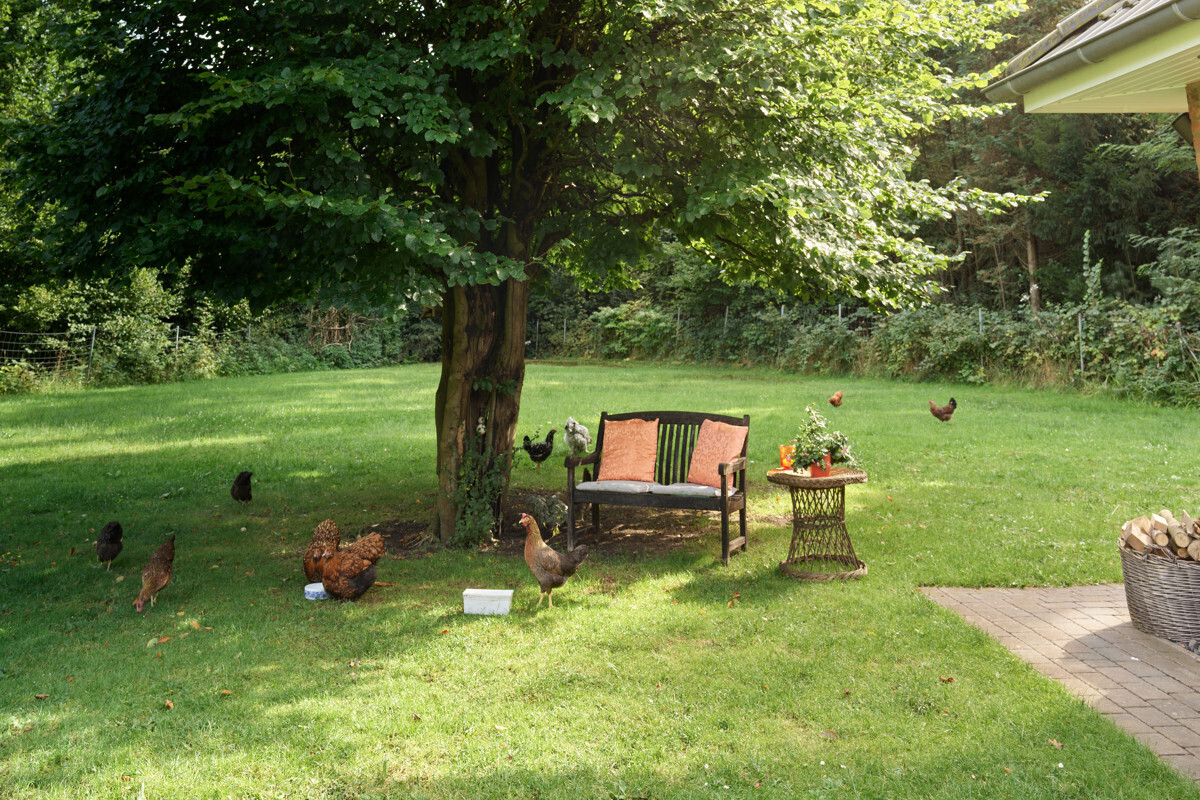 Schattenplatz im Garten