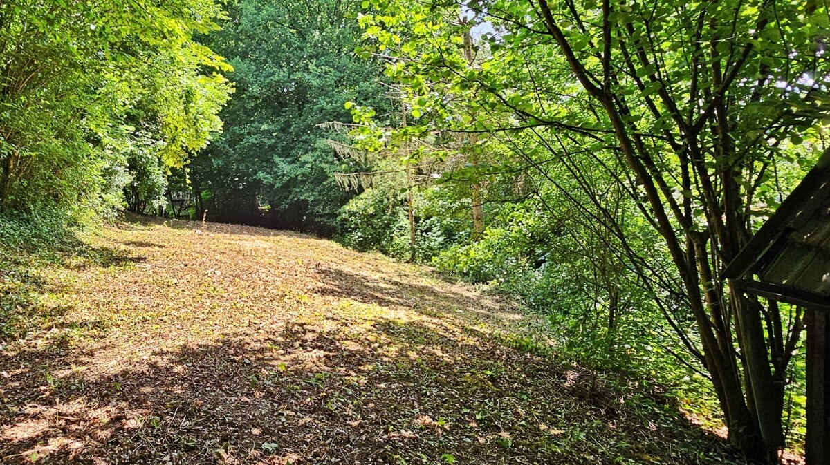 Fläche mittlerer Teil