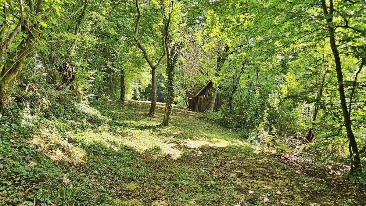 Fläche Mitte mit Hütte