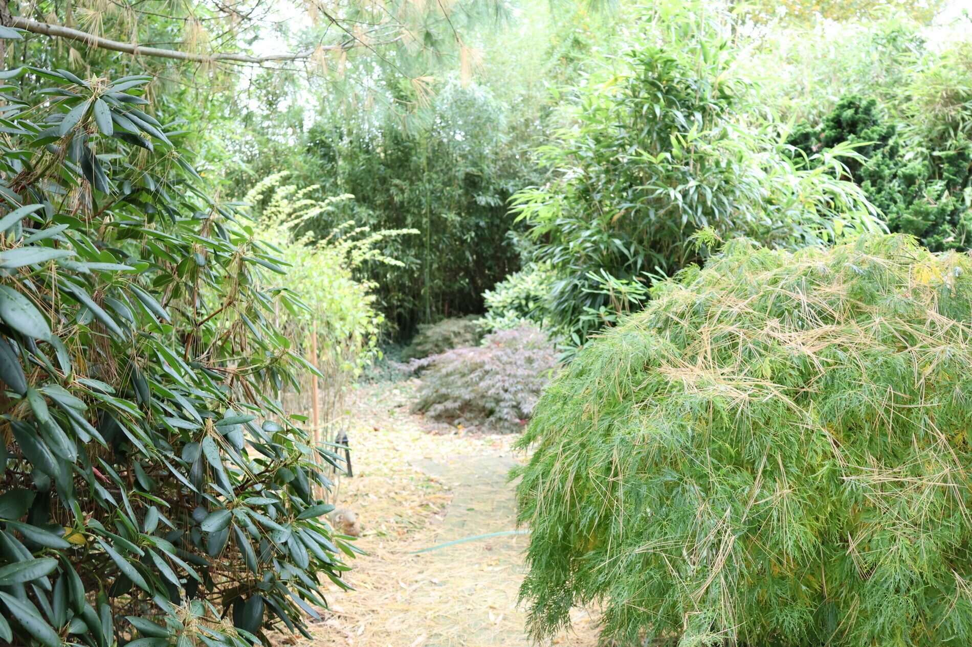 Unseinsehbarer geht es nicht. 