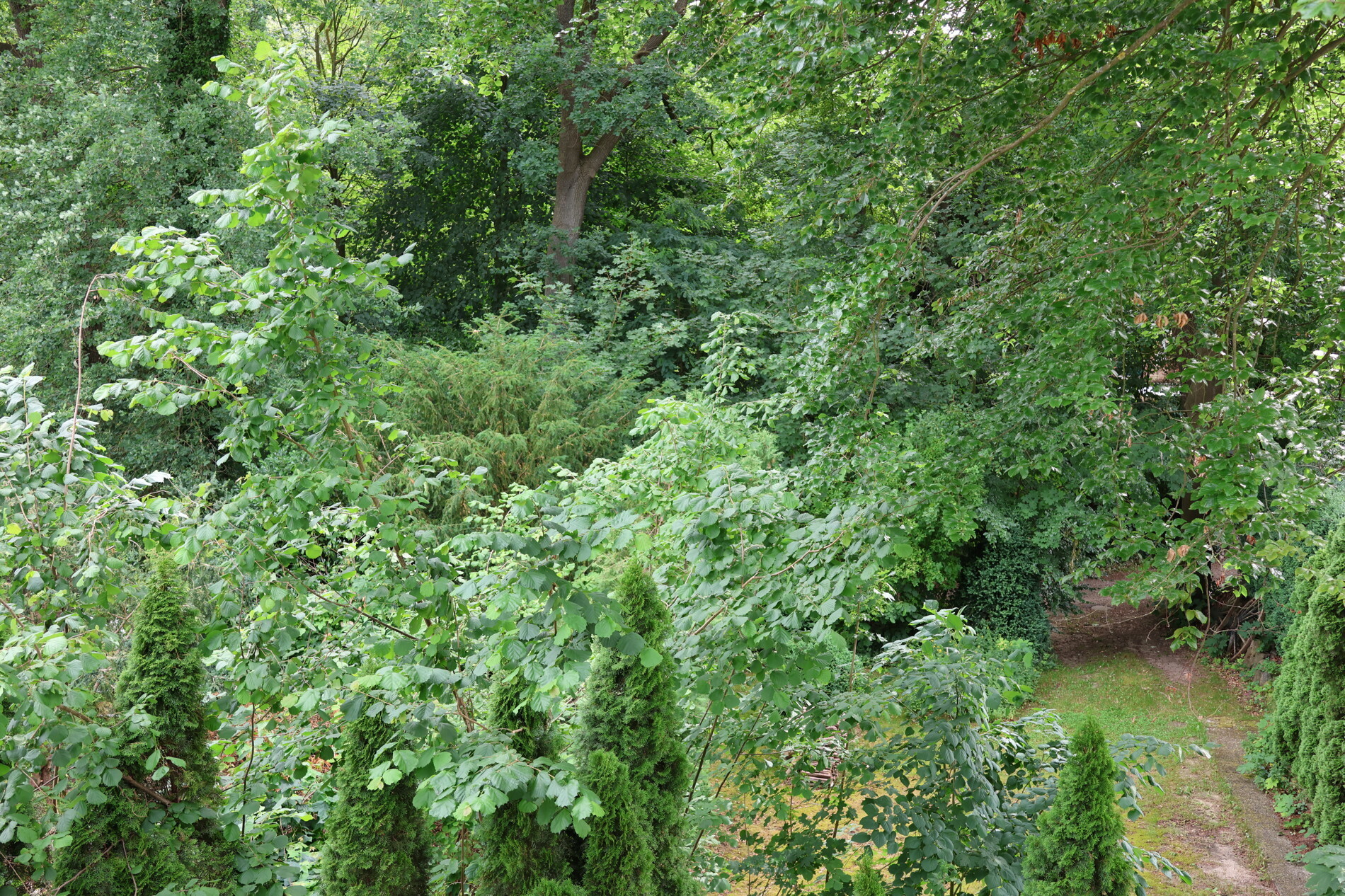 Blick aus Schlafzimmer