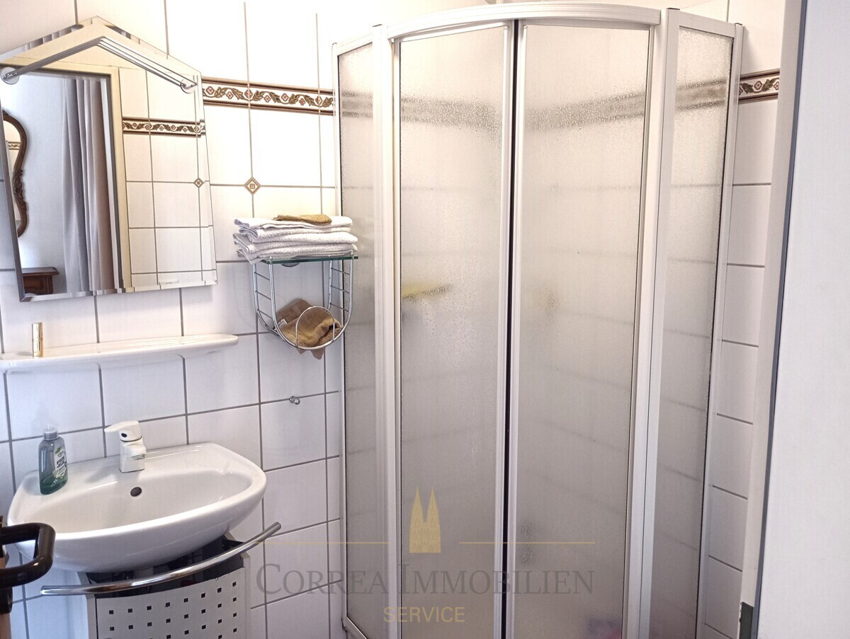 Gäste Wc mit Dusche EG