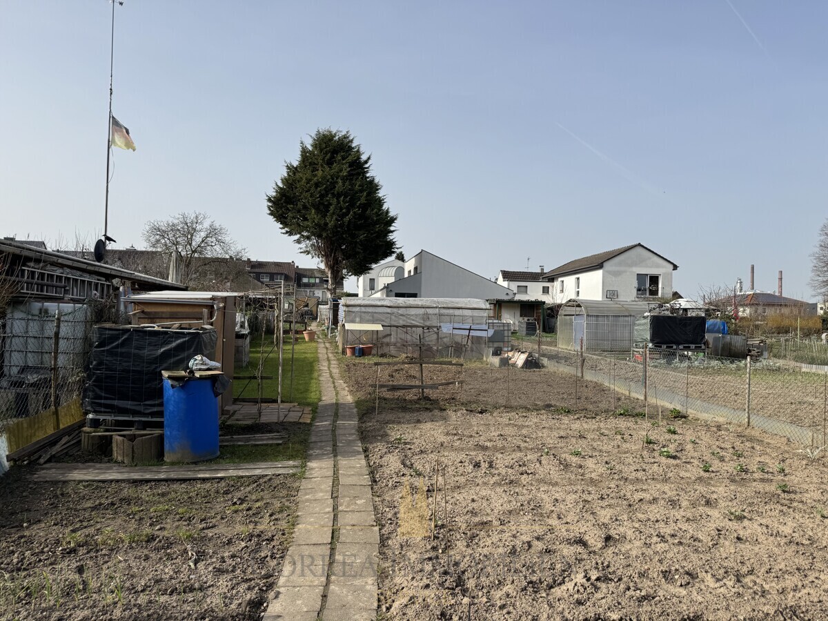 Gesamtgrundstück mit Blick zum Bestand
