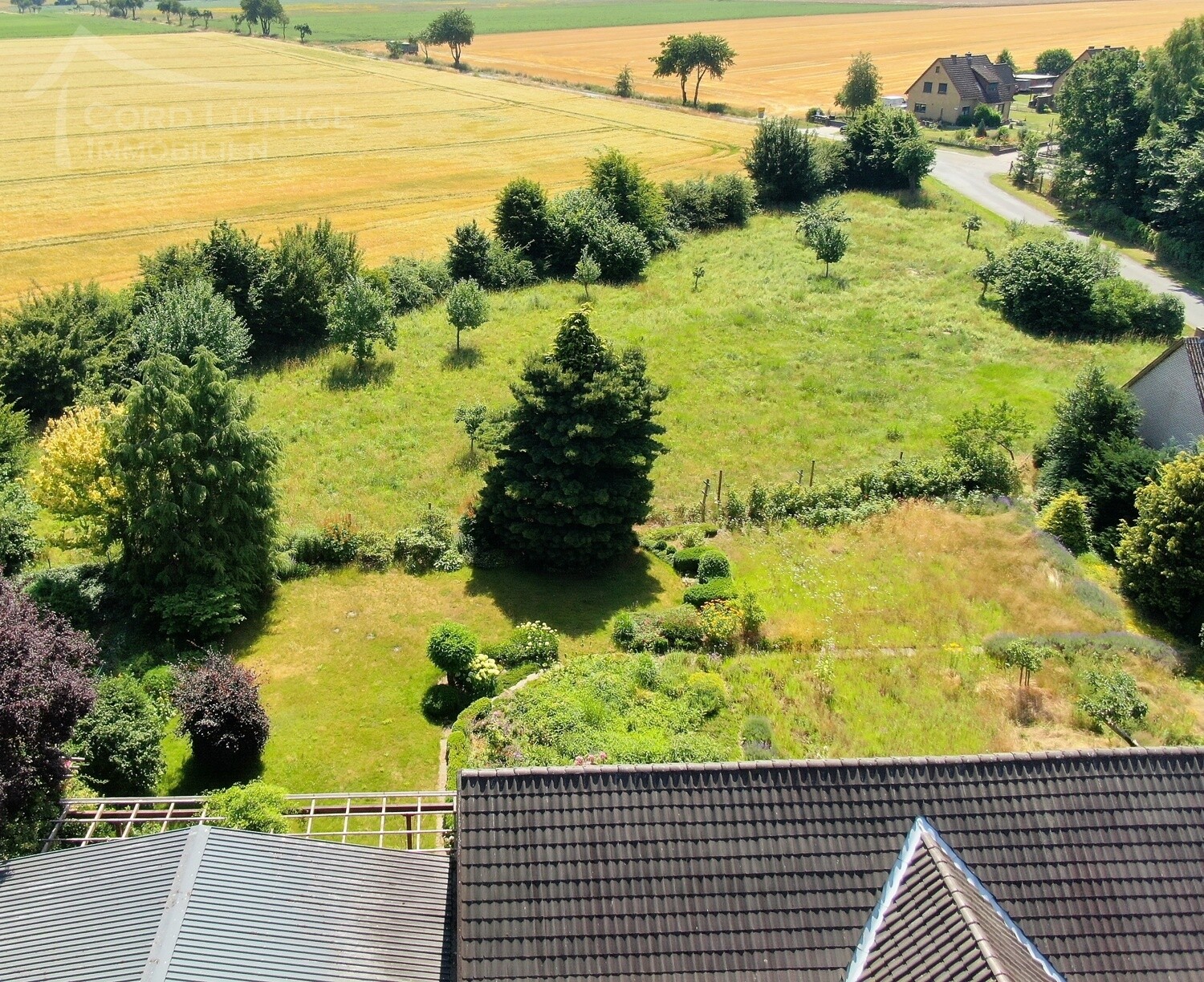 Obstwiese