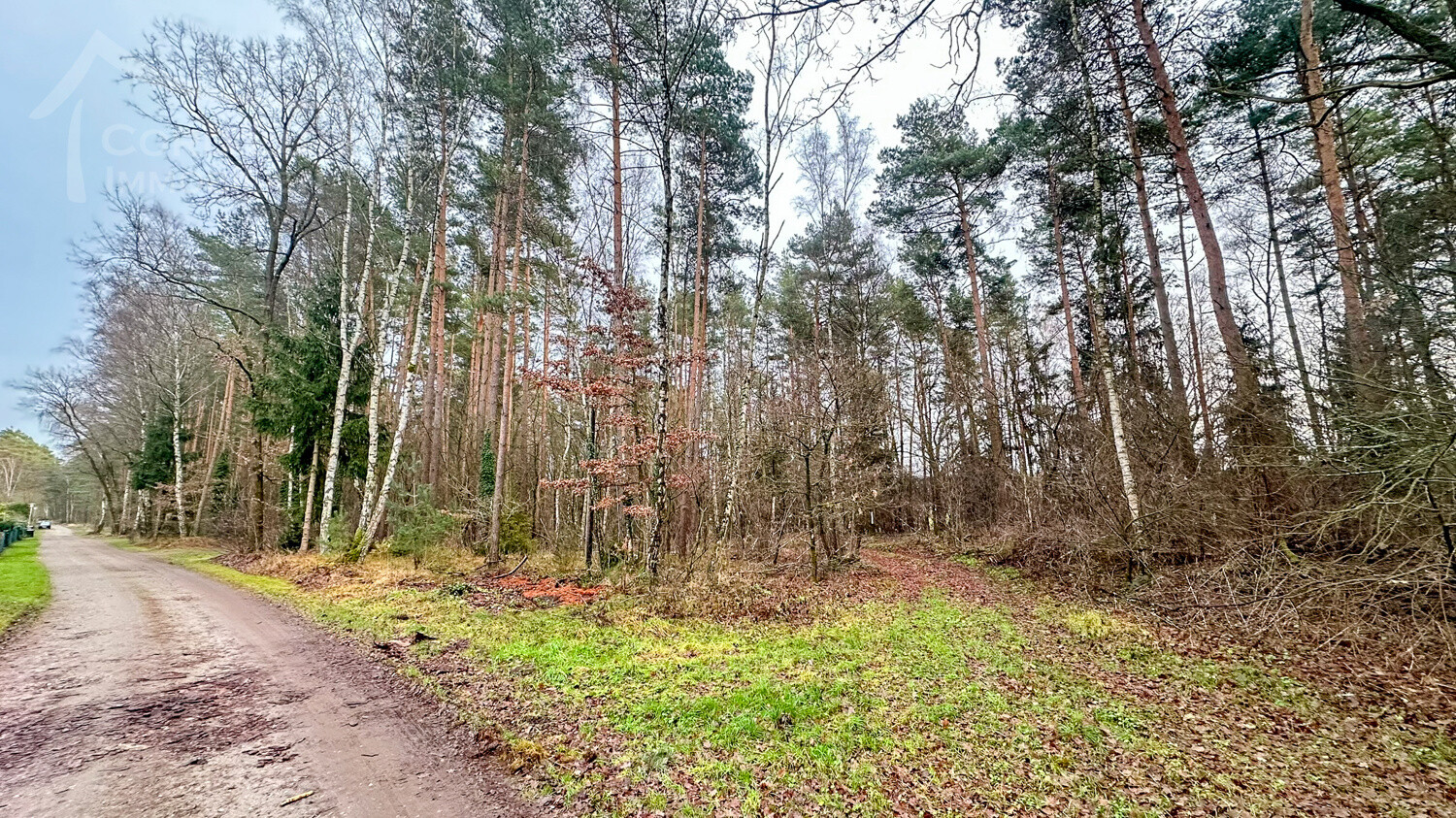 Umfeld