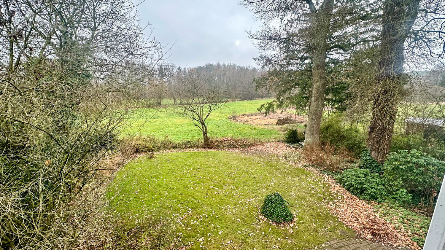 Blick über die Wiesen