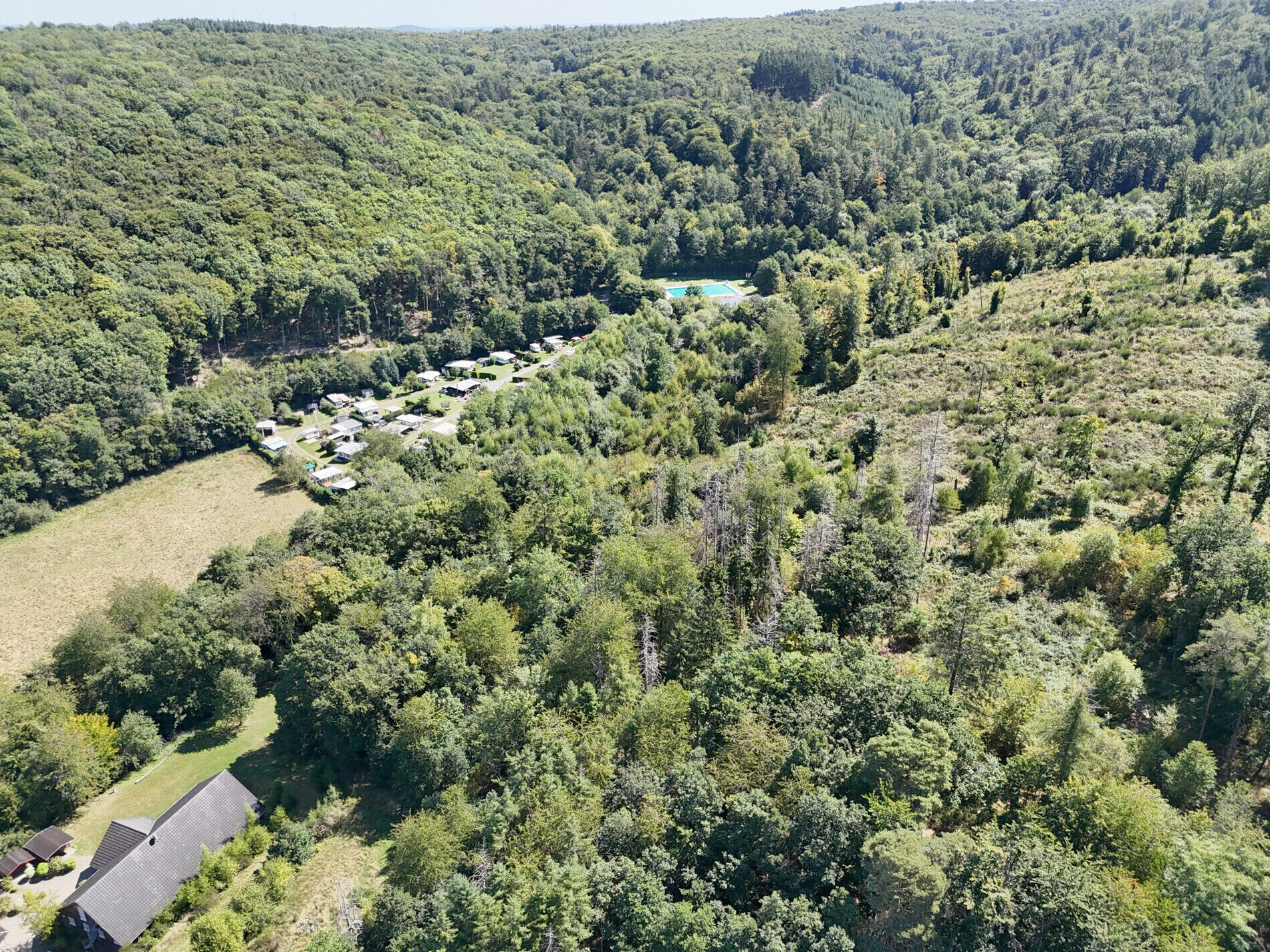 Blick Waldschwimmbad