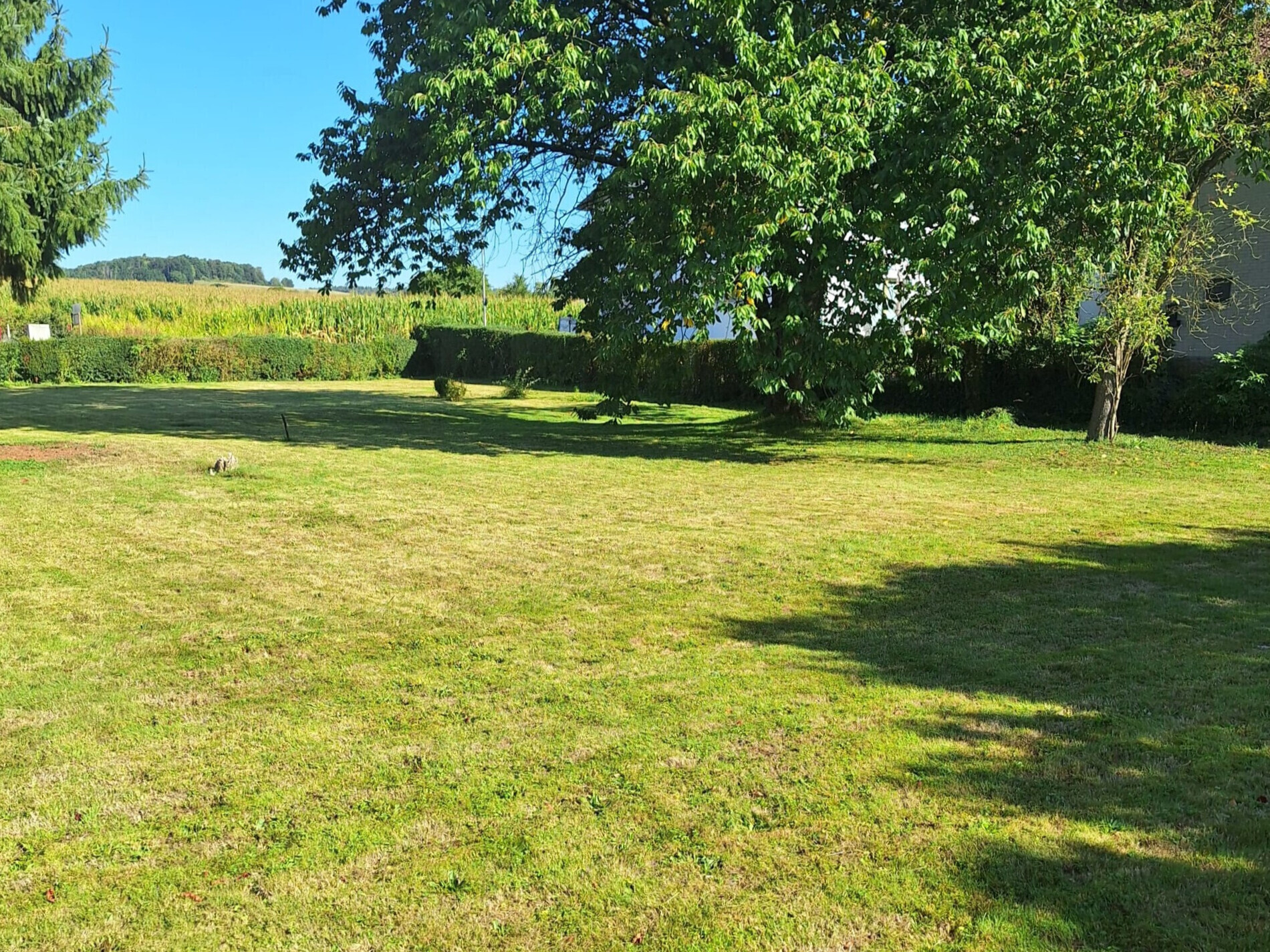 Sommerimpressionen