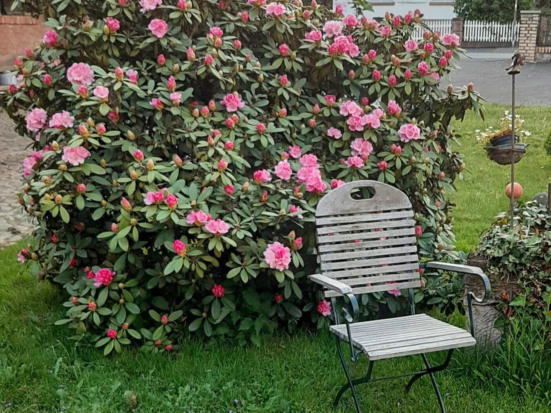 Sommerimpressionen