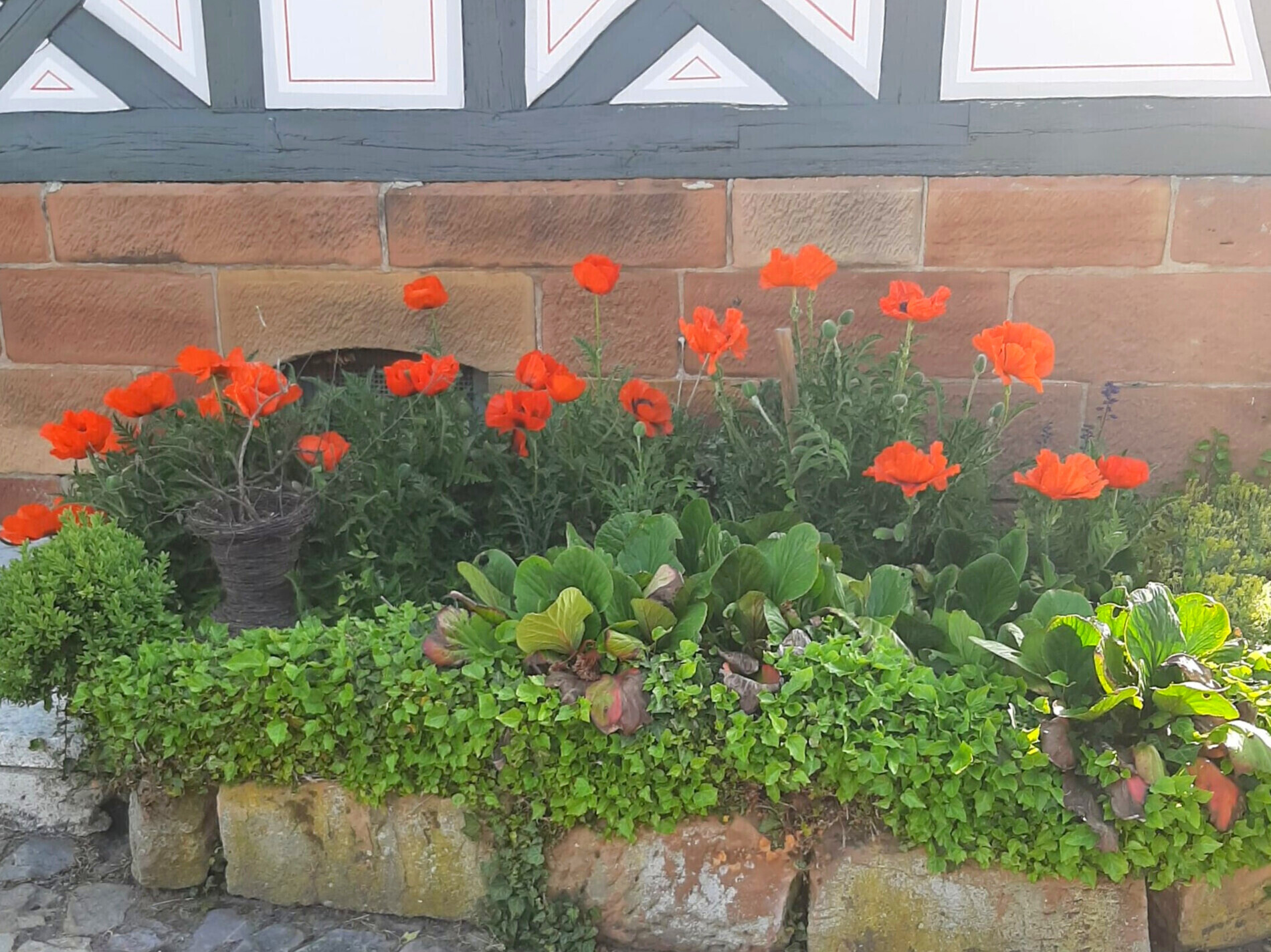 Sommerimpressionen