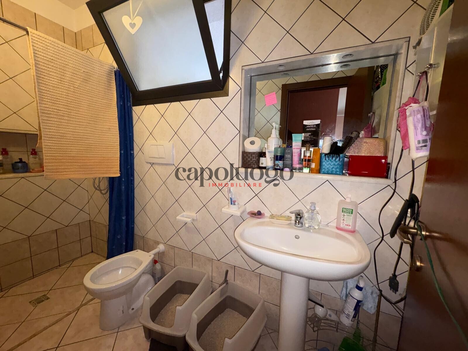 5512431b-ff7c-444c-ac4e-ff21ba312ecd