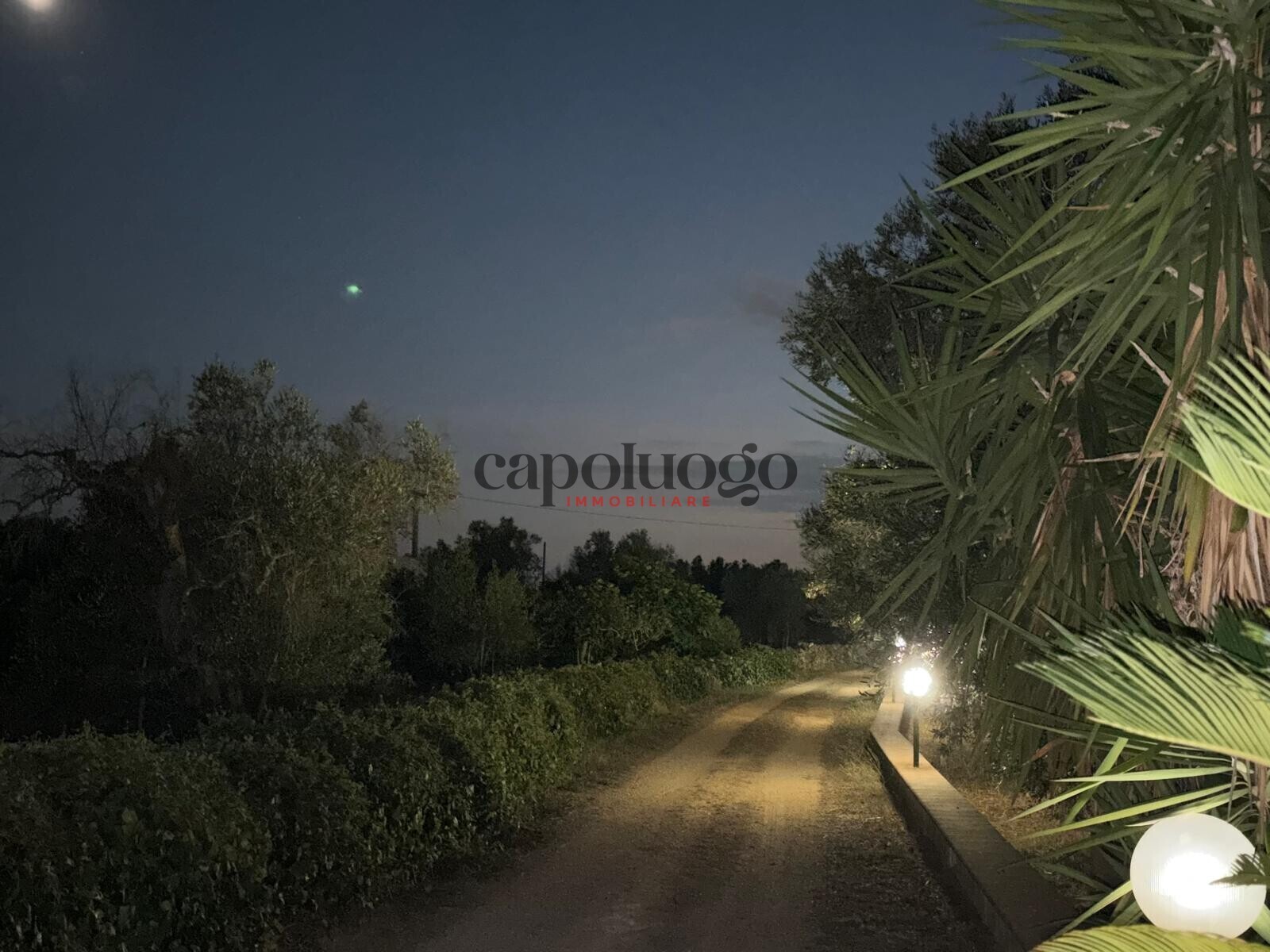 12115969-cc94-4b80-a612-c2eb955bbab4