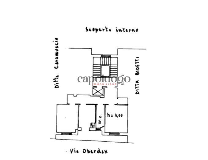 WhatsApp Image 2025-10-06 at 09.29.46