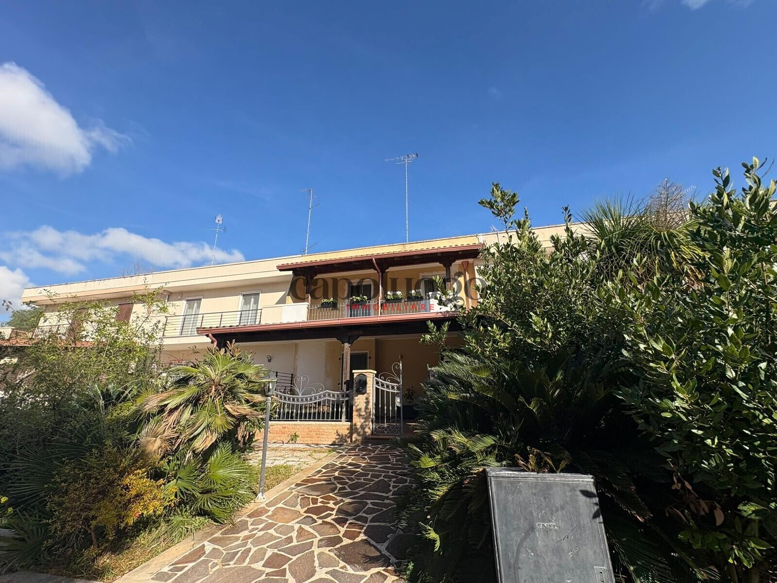 WhatsApp Image 2026-01-26 at 12.08.33 (6)