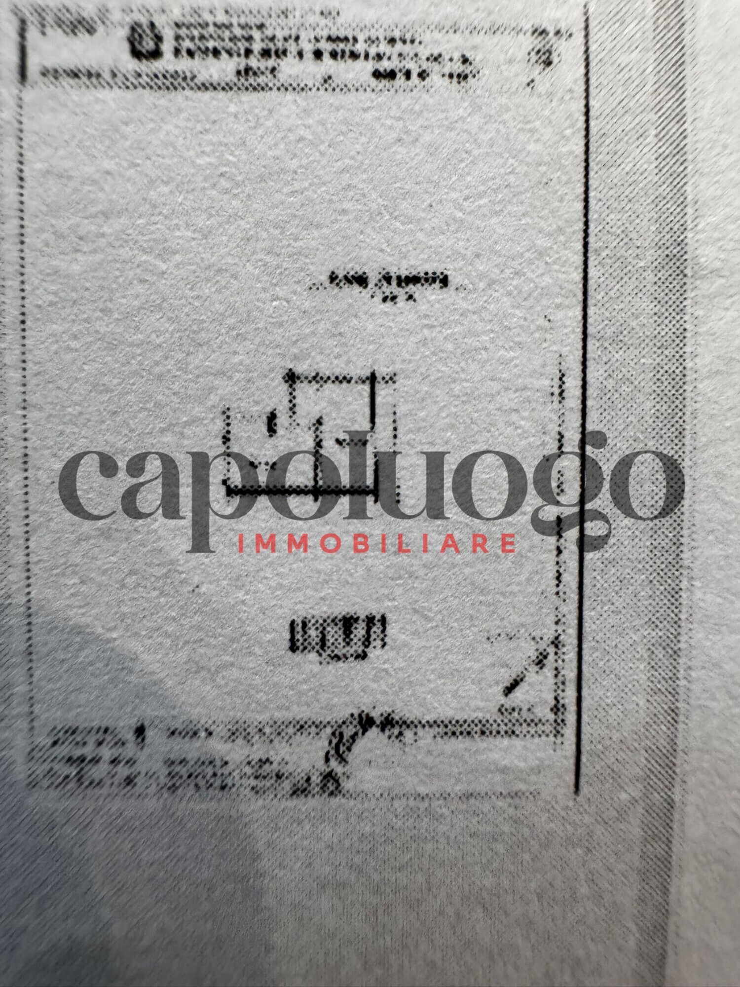 WhatsApp Image 2025-12-02 at 16.45.45