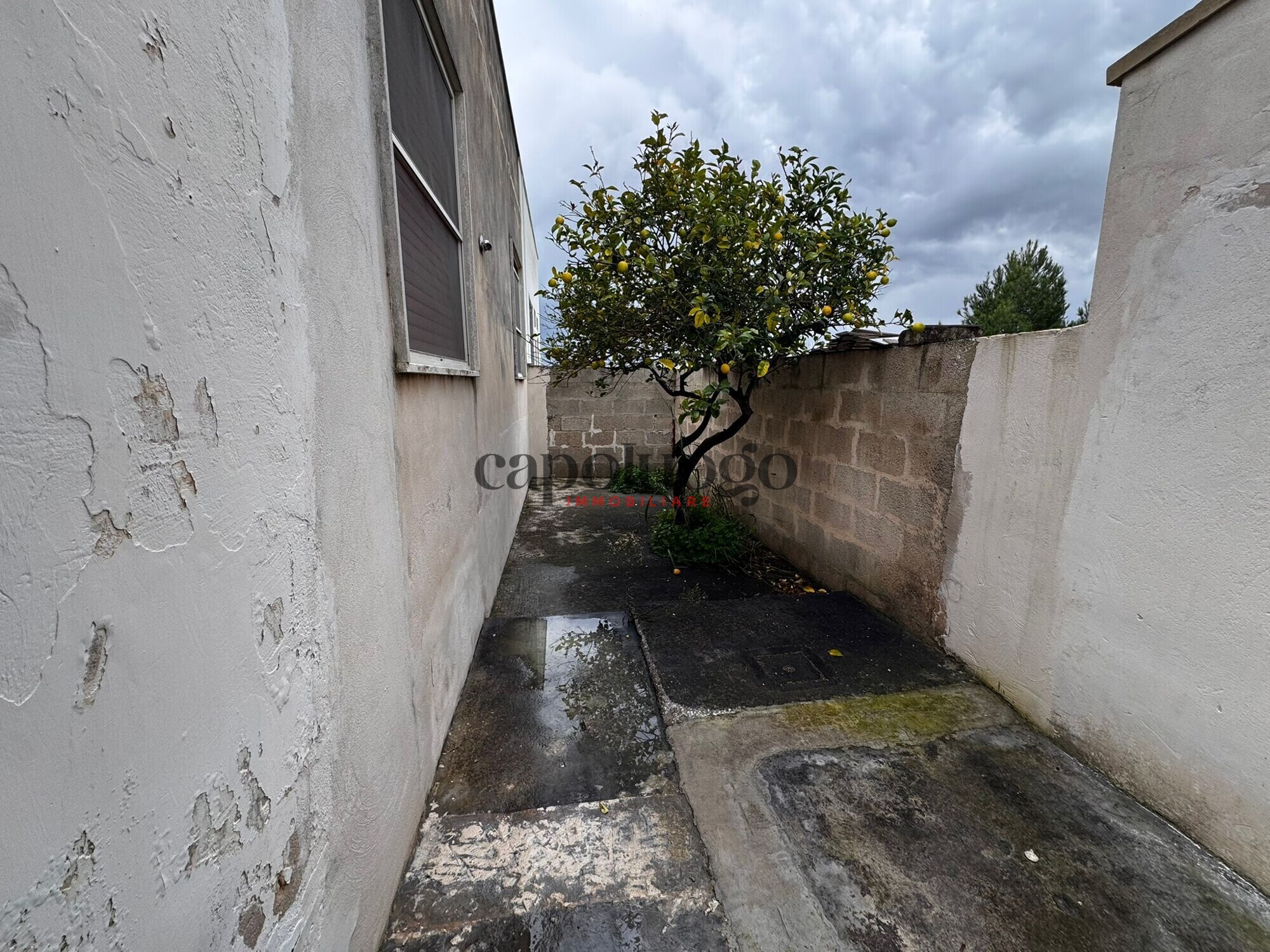 WhatsApp Image 2025-12-05 at 17.42.02 (3)