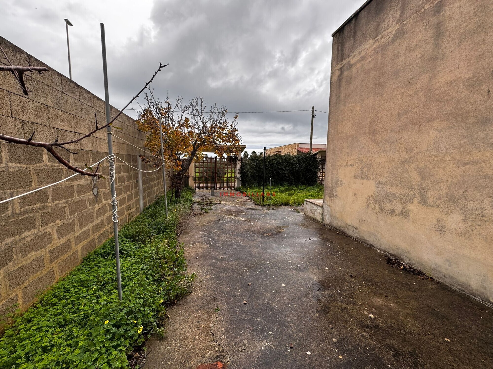 WhatsApp Image 2025-12-05 at 17.42.03 (1)