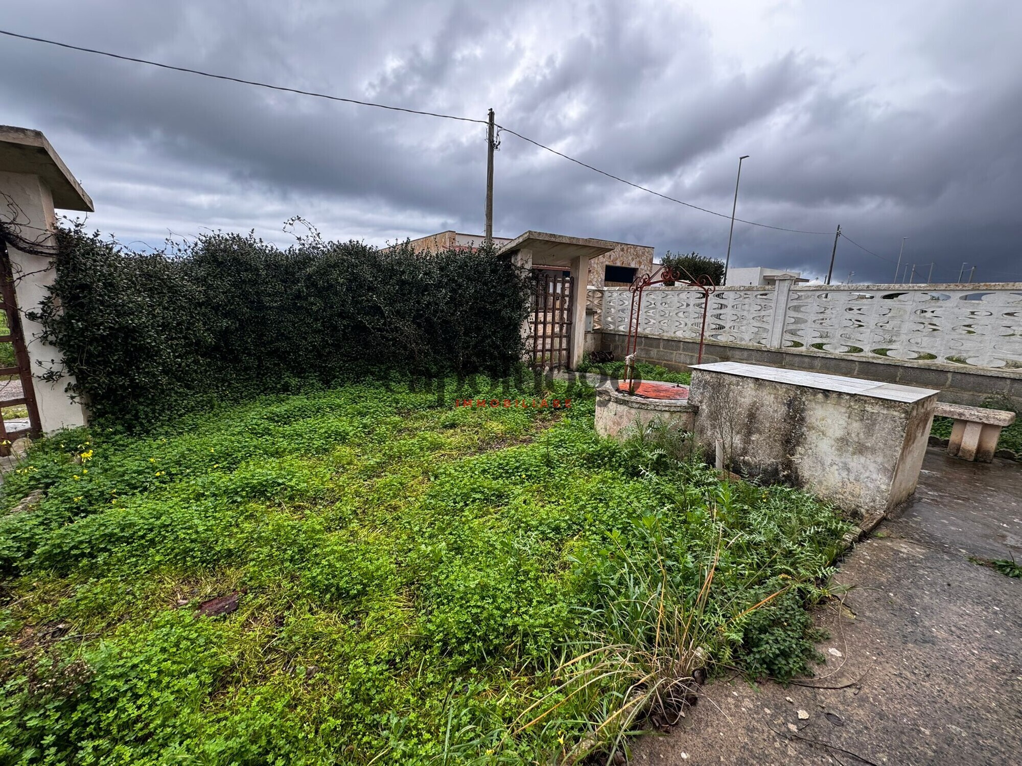 WhatsApp Image 2025-12-05 at 17.42.04 (2)