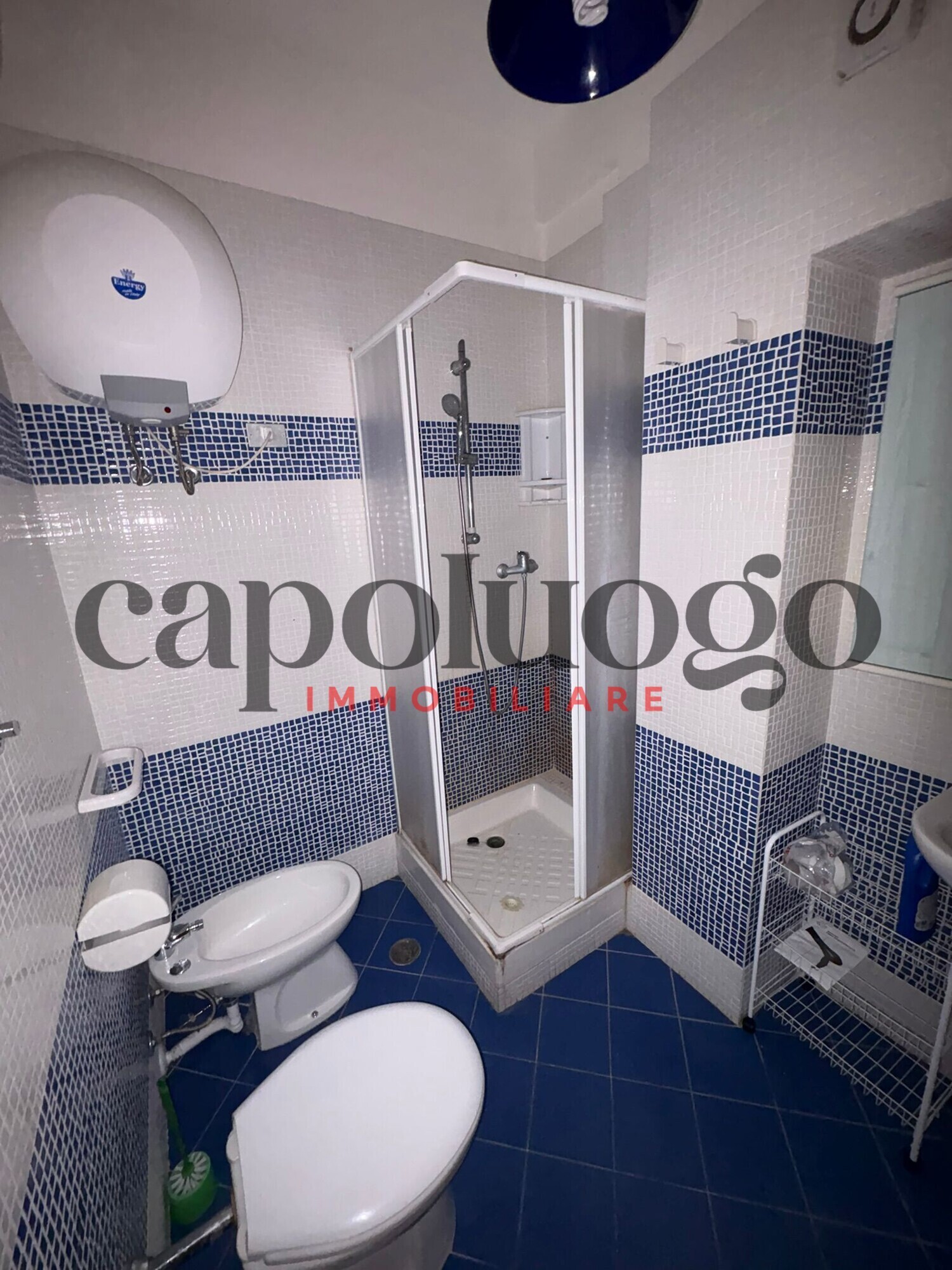 5b0f50d9-1ed1-4a56-85dd-f99b6afe72df