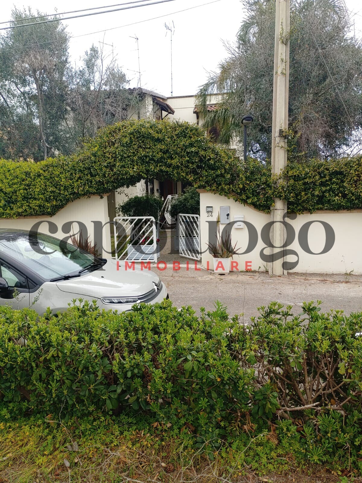 c416be0c-5f04-437d-98fc-6b26972c18c5