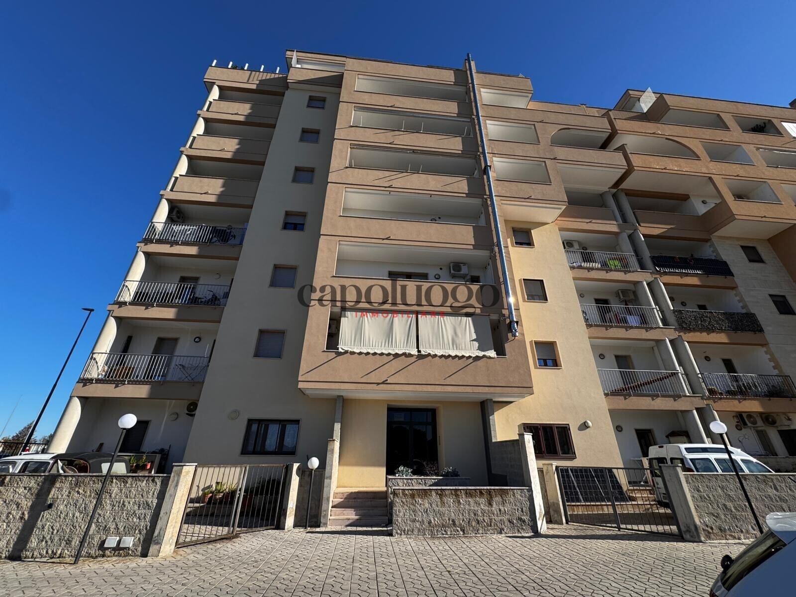 WhatsApp Image 2026-01-07 at 16.59.14