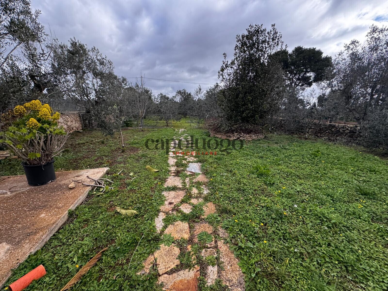 WhatsApp Image 2026-02-03 at 11.44.08 (5)