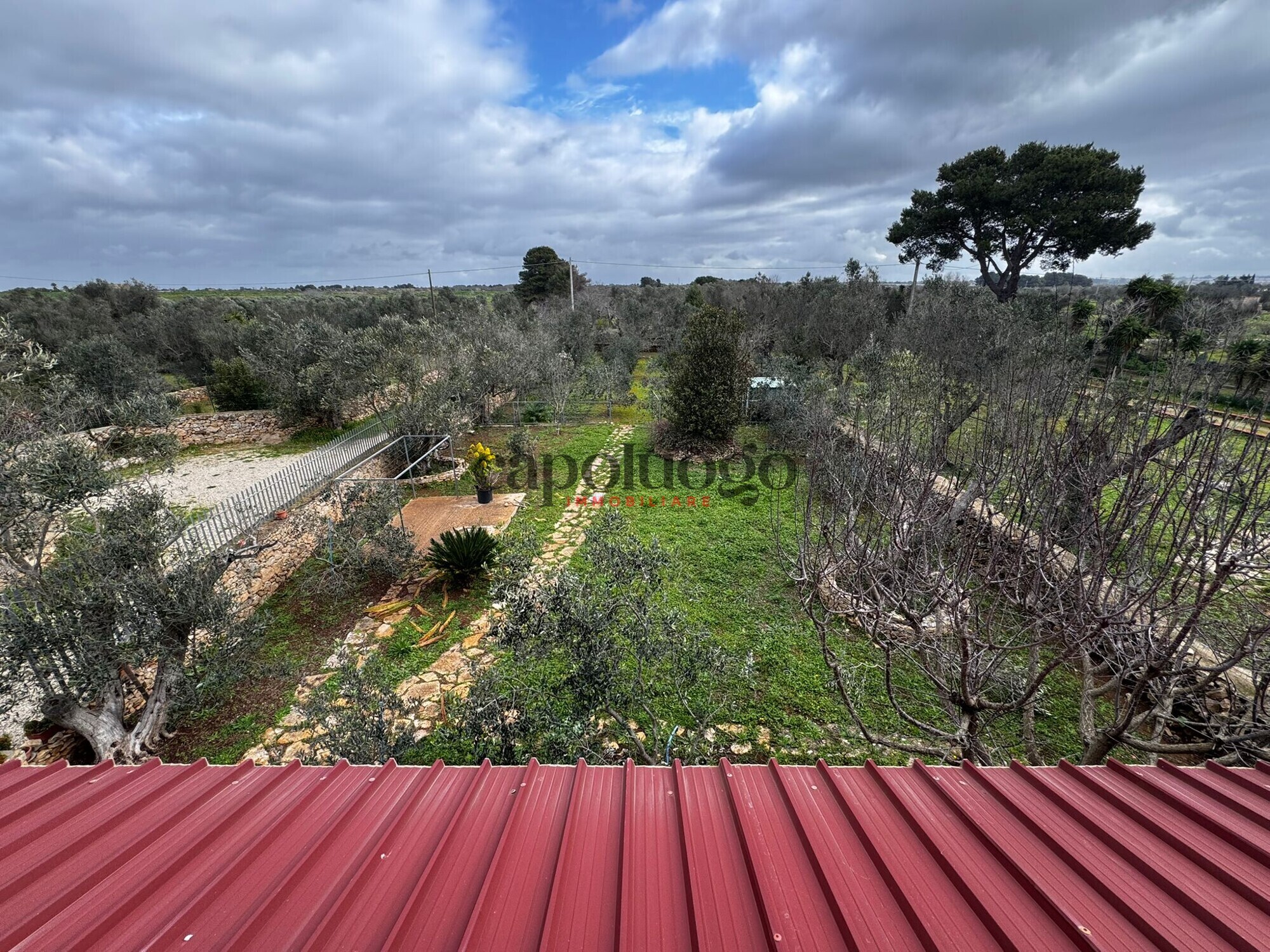 WhatsApp Image 2026-02-03 at 11.44.12 (1)