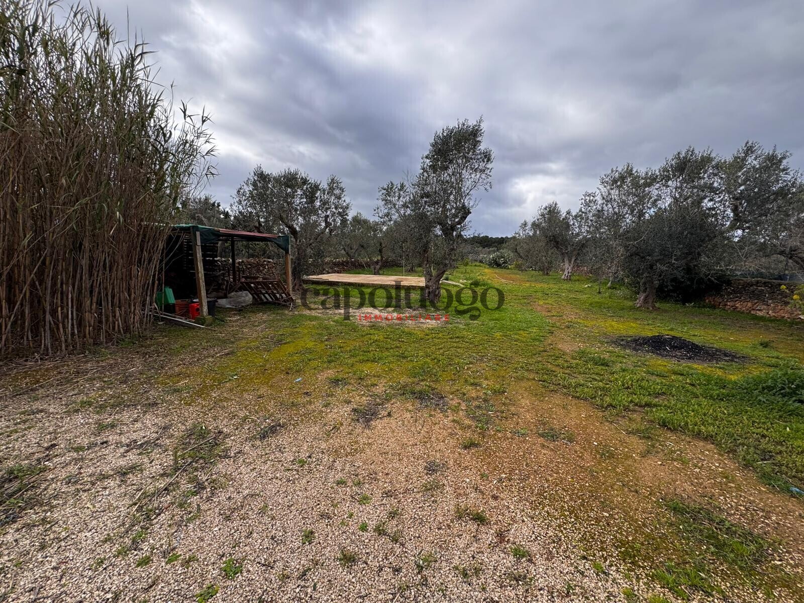 WhatsApp Image 2026-02-03 at 11.44.08 (4)