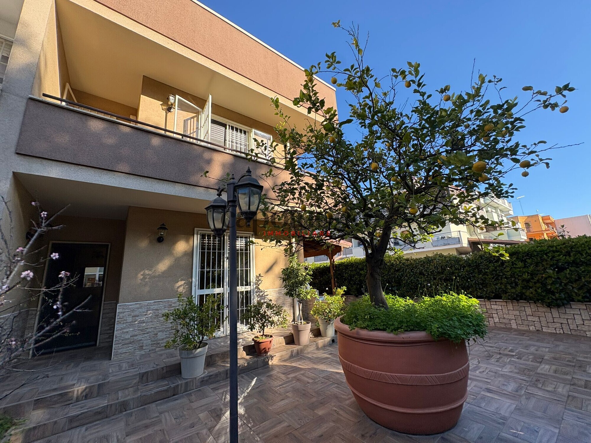 1141a30b-d36e-4b59-93b6-ce02ff75e364