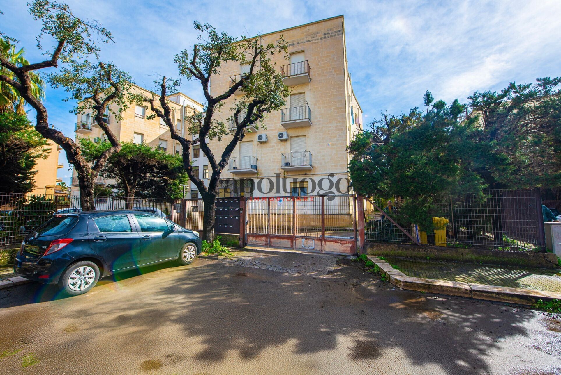 WhatsApp Image 2026-03-18 at 18.07.26