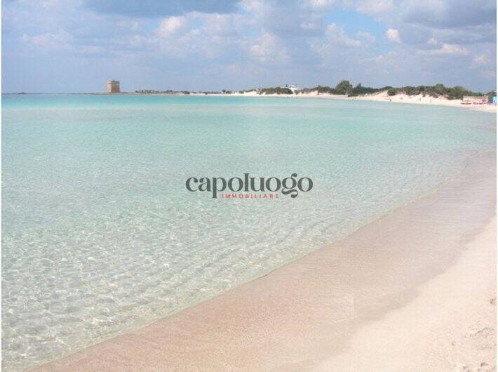 c9d32b_92b4637cd73c4283a6ca6cba78c5b25d~mv2